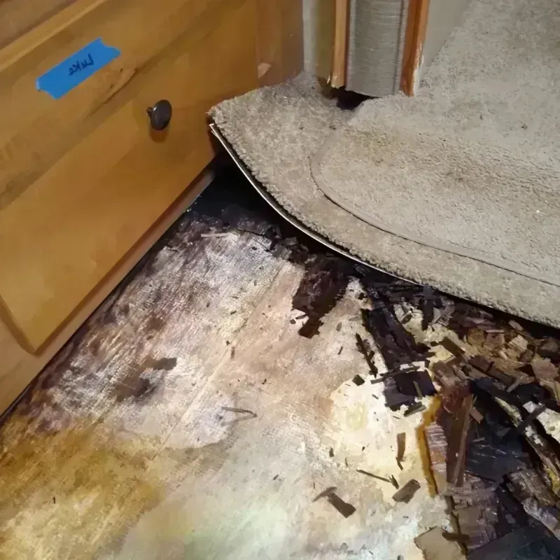 Wood Floor Water Damage in Burnt Store Marina, FL